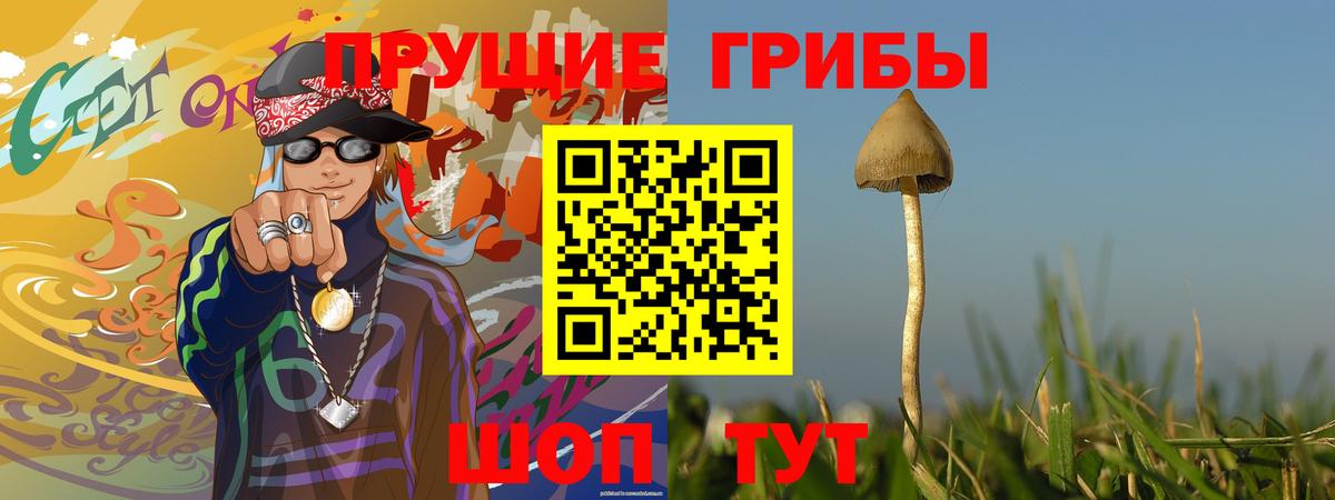 Саратов  Псилоцибиновые грибы прущие грибы  Вход с VPN 